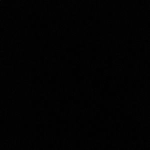 Meet your Posher, Hong